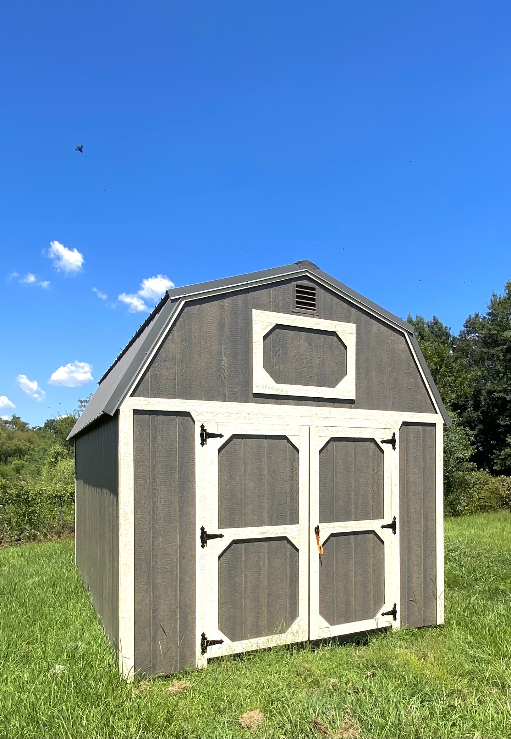View details for 10 x 16 Lofted Barn